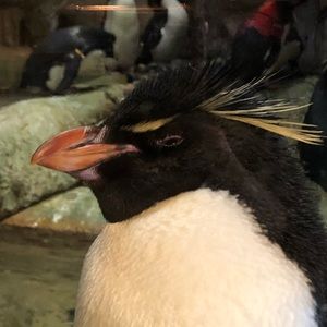 Meet your Posher, Mack